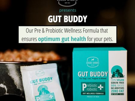 (V) Gut Buddy | Pre & Probiotic Supplement | 1g x 20 sachets Pack of 5 Supply