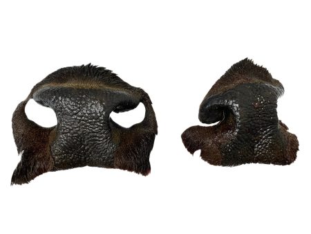 Bison Snouts For Discount