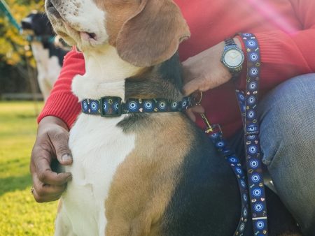 Dark Blue Evil Eye | Collar | Leash | Harness For Cheap