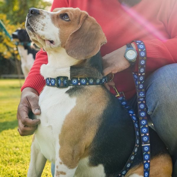 Dark Blue Evil Eye | Collar | Leash | Harness For Cheap