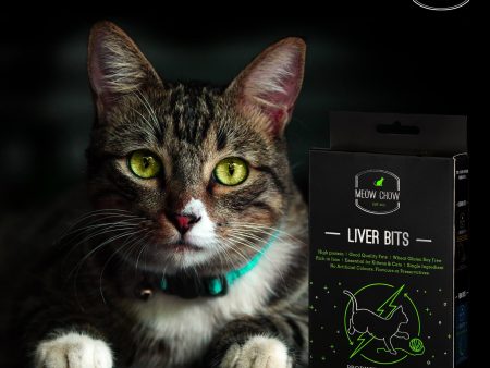 Liver Bits (Pack of 12) Online Sale