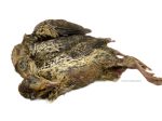 Whole Prey Quail - Small For Sale