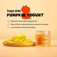 Freeze-Dried Pumpkin Yogurt Supply