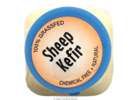 Raw Organic Sheep Kefir Hot on Sale