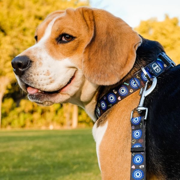 Dark Blue Evil Eye | Collar | Leash | Harness For Cheap