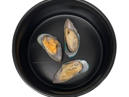 Green Lipped Mussels on Sale