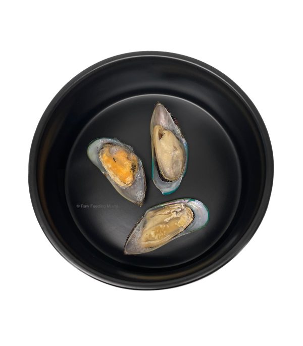 Green Lipped Mussels on Sale