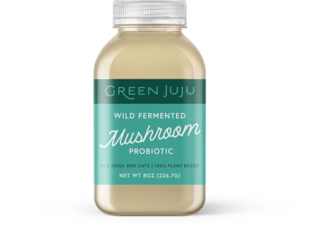 Green Juju - Wild Fermented Mushroom Probiotic Online Hot Sale