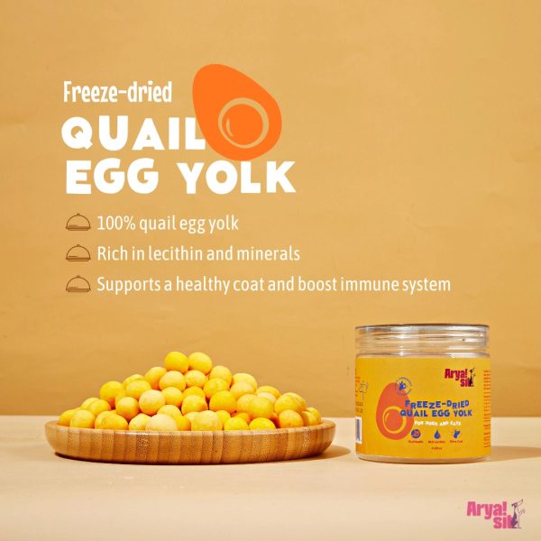 Freeze-Dried Egg Yolk Online