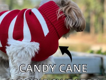 Candy Cane Dog Sweater on Sale