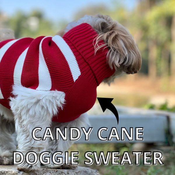 Candy Cane Dog Sweater on Sale