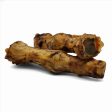 Dehydrated Ostrich Foot Bone Online now