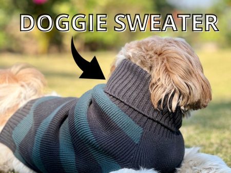 Little Elf Dog Sweater For Cheap