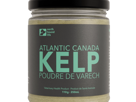 Organic Kelp Powder Supply