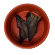 Dehydrated Water Buffalo Ears For Sale