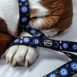 Dark Blue Evil Eye | Collar | Leash | Harness For Cheap