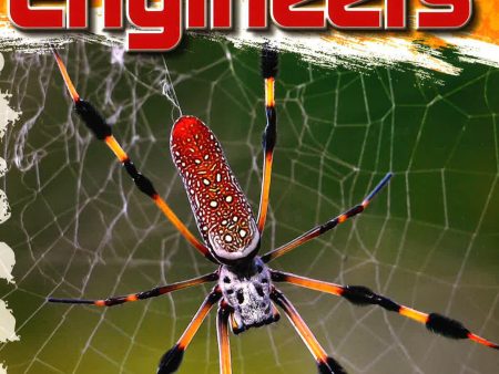 [Bargain corner] Amazing Animal Engineers Hot on Sale